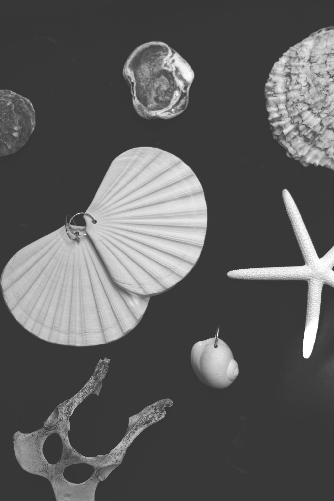 FULL MOON SHELL AMULET .07 EARRINGS