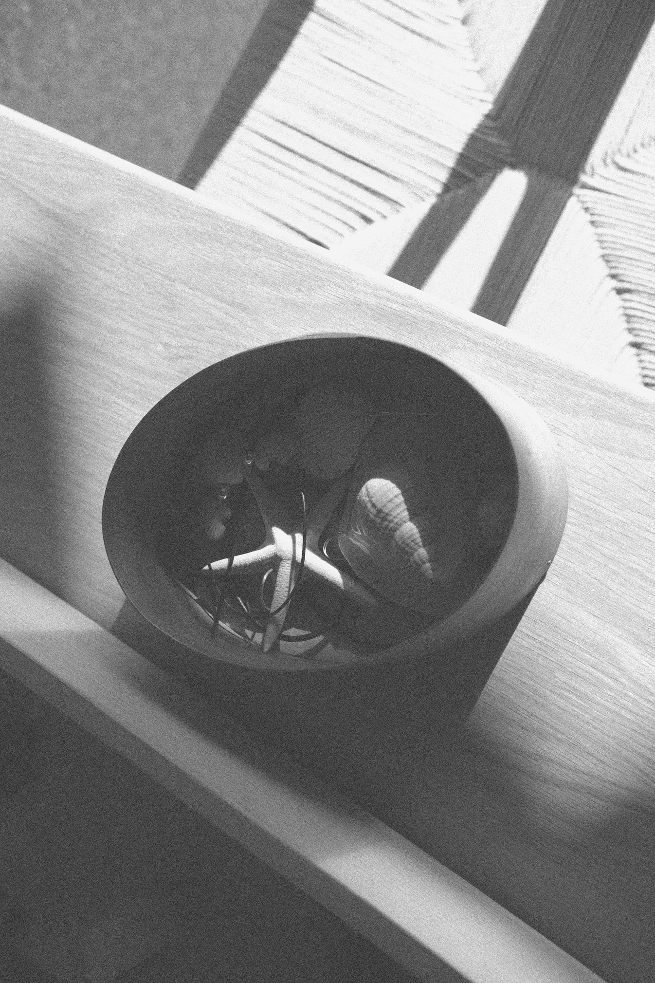 TOTEM SHELL AMULET EARRINGS .01 IN ONYX