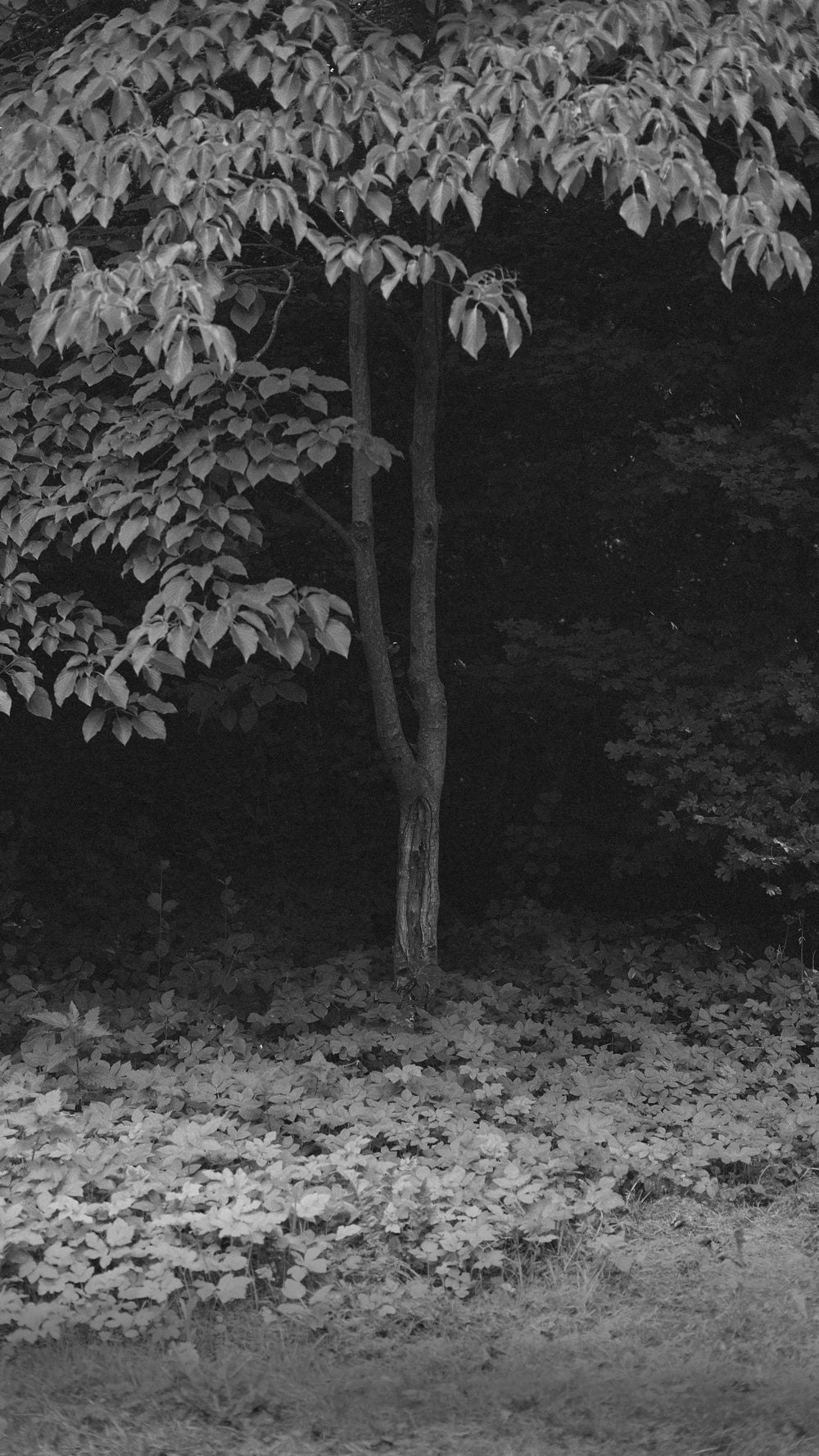 TOTEM PENDANT .01 - BLACK SILK