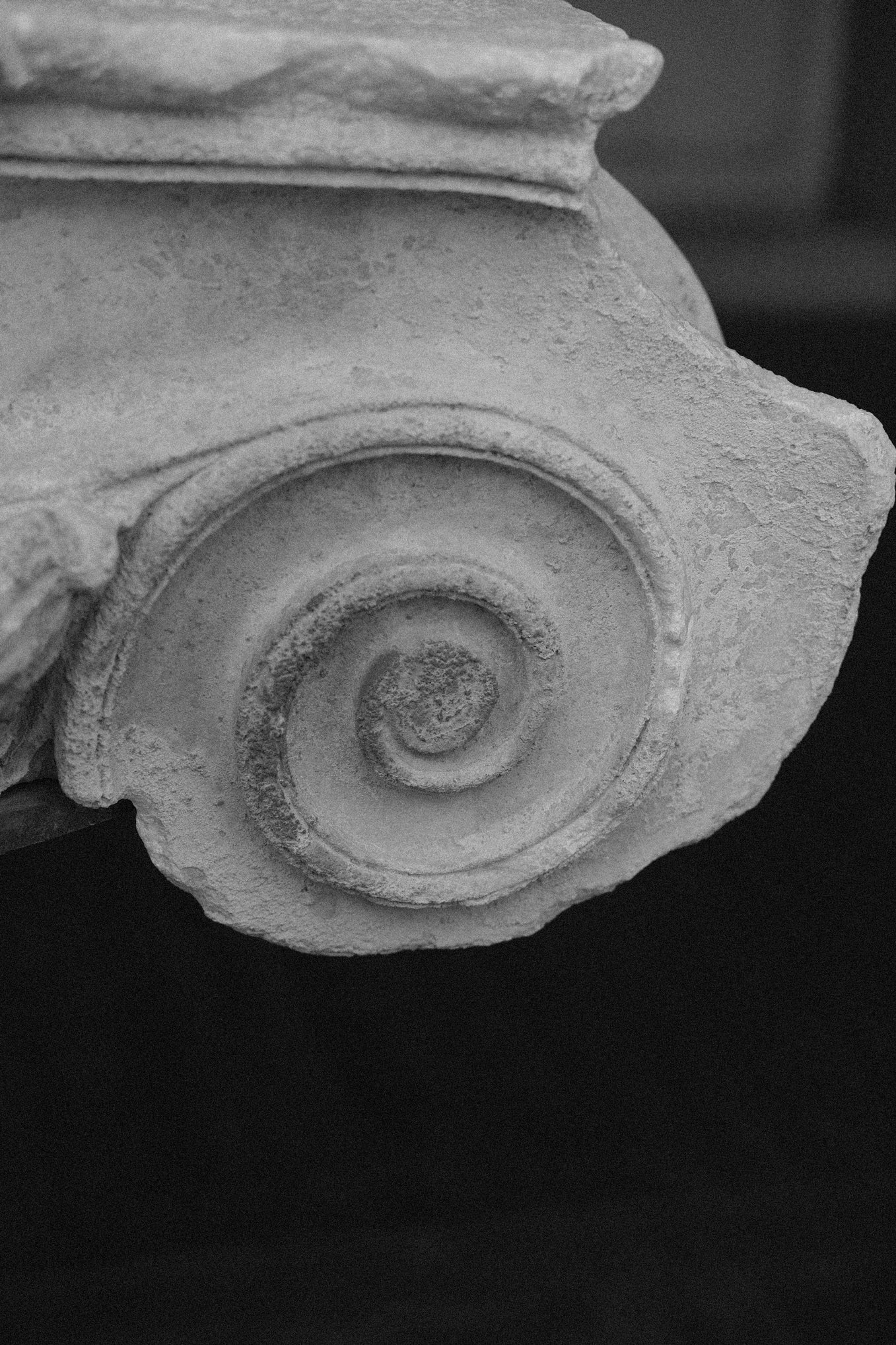 NAUTILUS PORCELAIN AMULET .02 LEATHER COLLAR