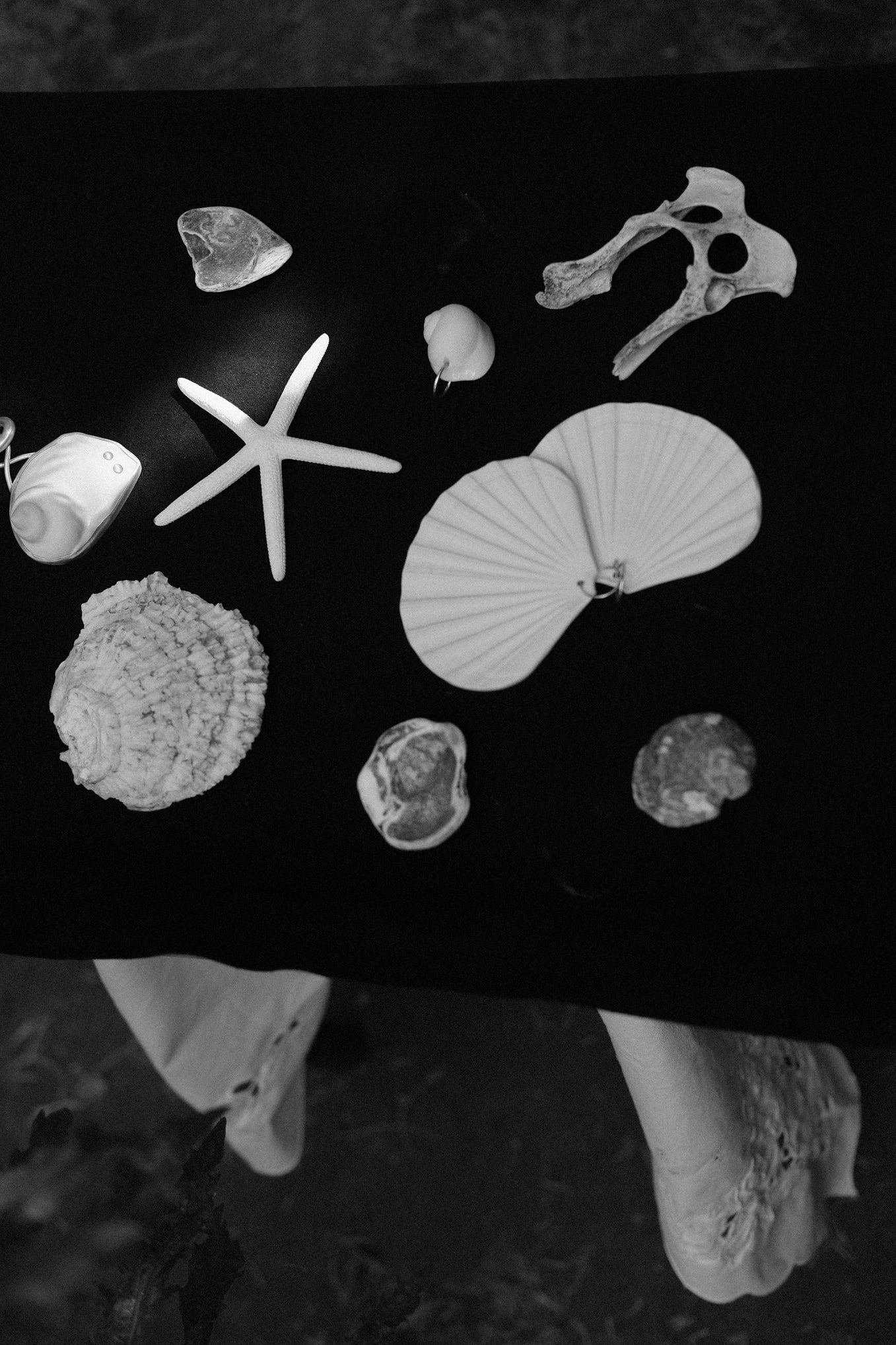 FULL MOON SHELL AMULET .07 EARRINGS
