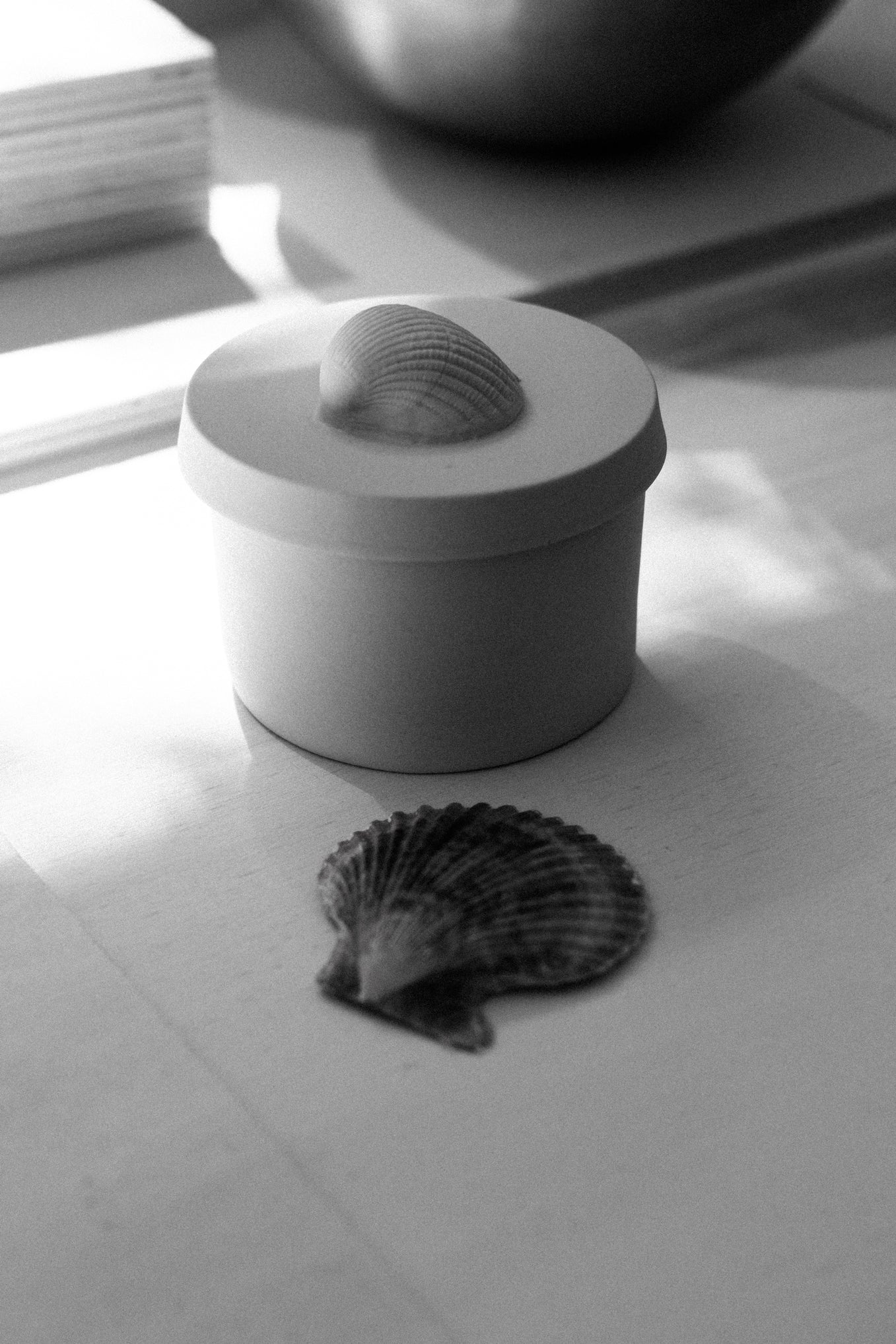 PORCELAIN BOX WITH SHELL .01