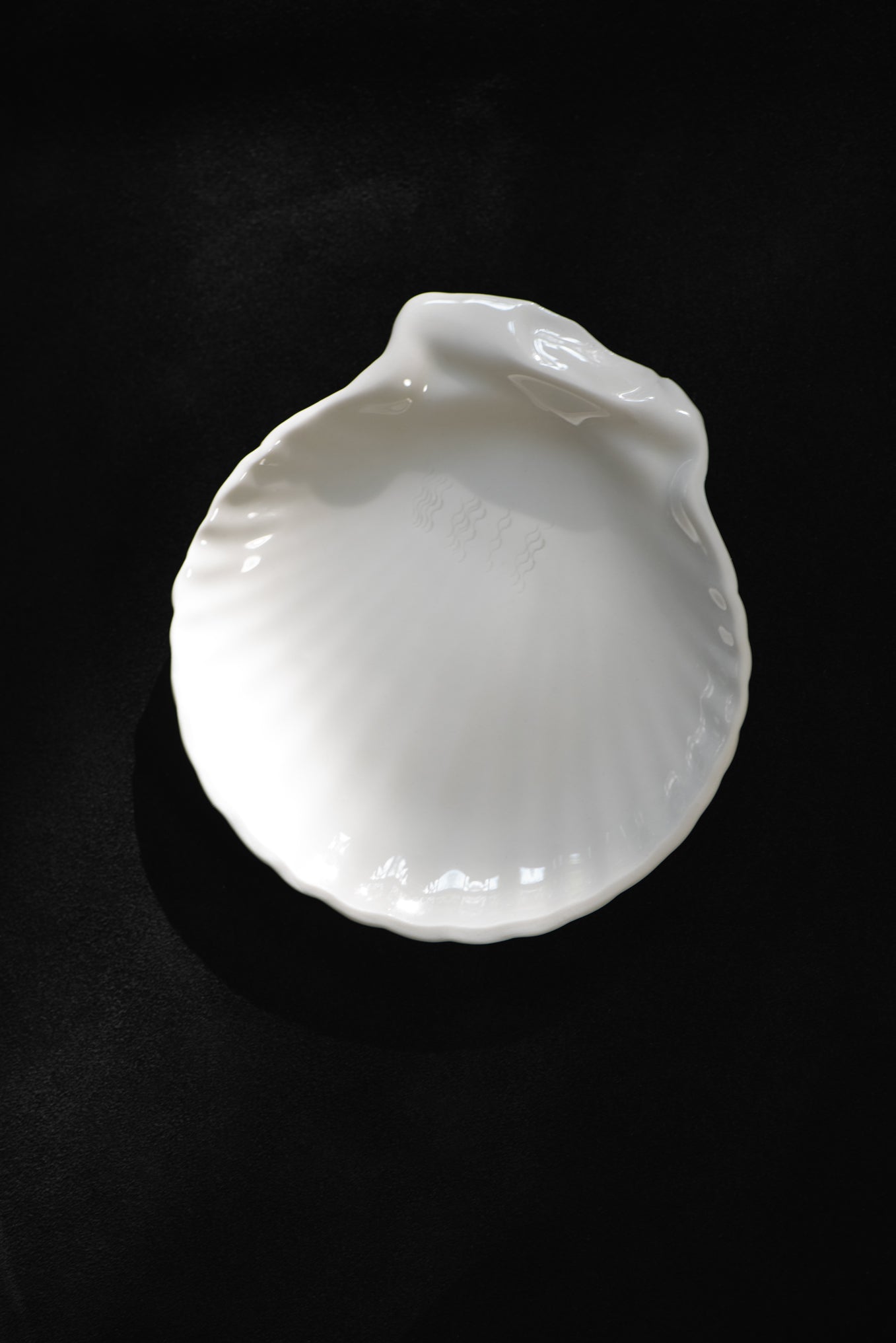 SHELL PORCELAIN DISH