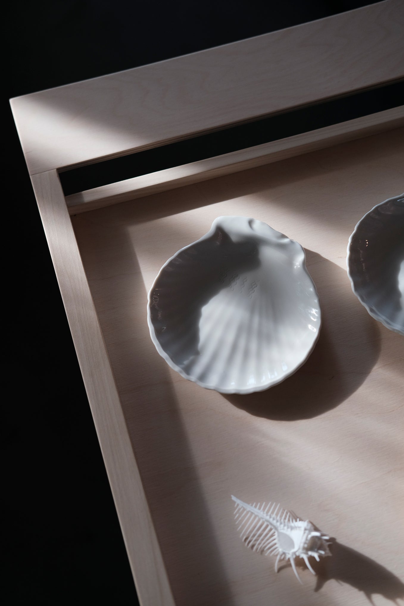 SHELL PORCELAIN DISH